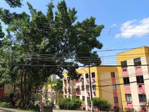 Apartamento com 3 Quartos à venda, 53m² – Campo Grande