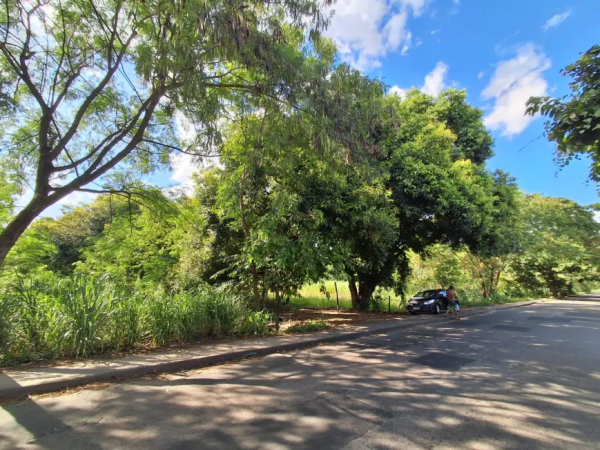 Terreno / Lote Comercial à venda, 100000m² – Santa Cruz