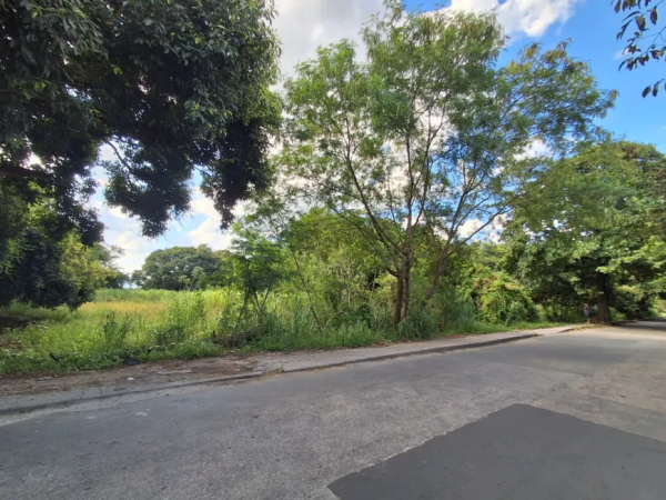 Terreno / Lote Comercial à venda, 100000m² – Santa Cruz