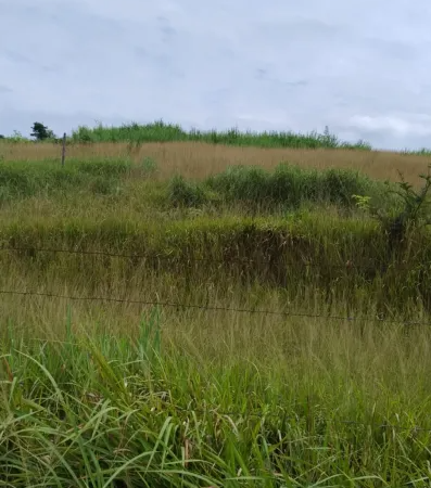 Terreno / Lote Comercial à venda, 6000m² – Distrito Industrial