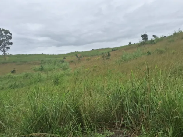 Terreno / Lote Comercial à venda, 6000m² – Distrito Industrial