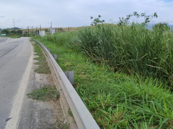 Terreno / Lote Comercial à venda, 6000m² – Distrito Industrial