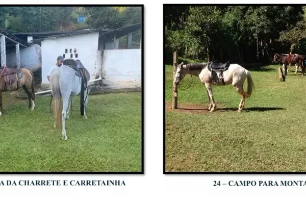 Fazenda / Sítio / Chácara com 15 Quartos à venda